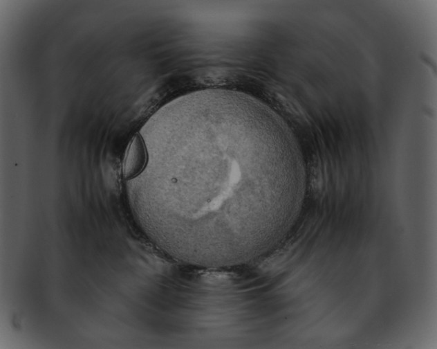 X0000093240332200710171446