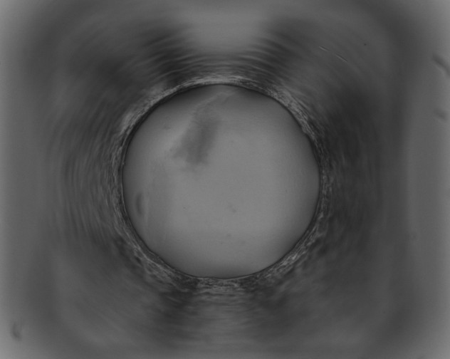 X0000093240337200710171445