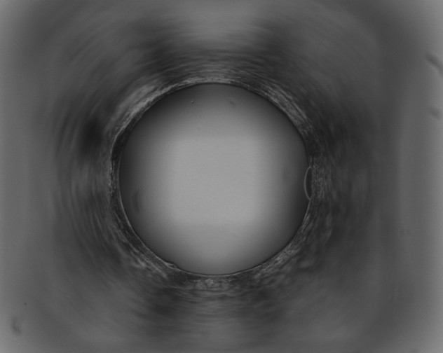 X0000093240338200710171445