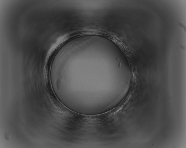 X0000093240343200710171445