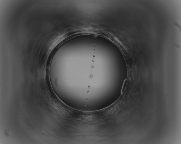 X0000093240344200710171445