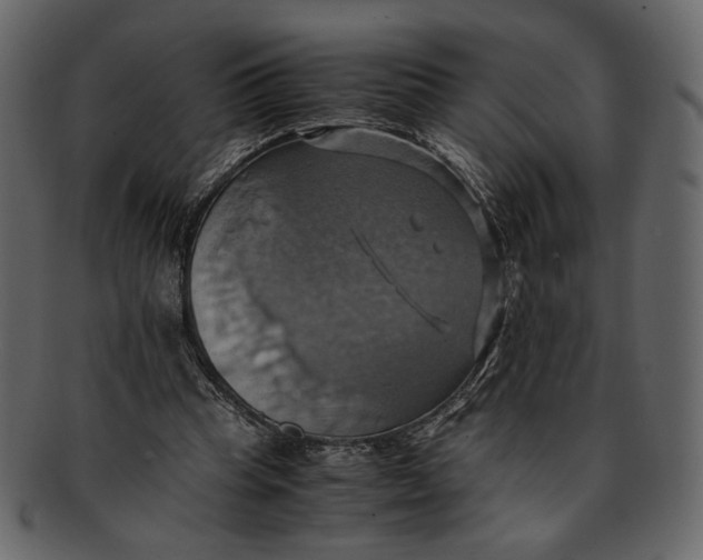 X0000093240345200710171445