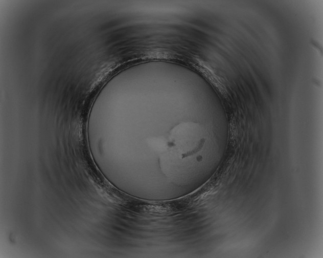 X0000093240347200710171446