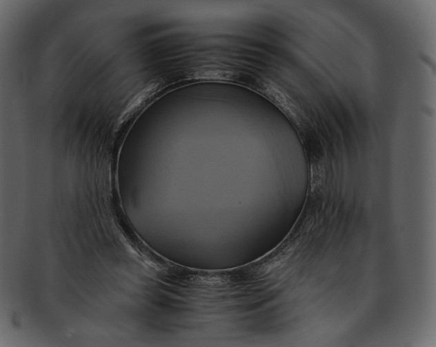 X0000093240349200710171446