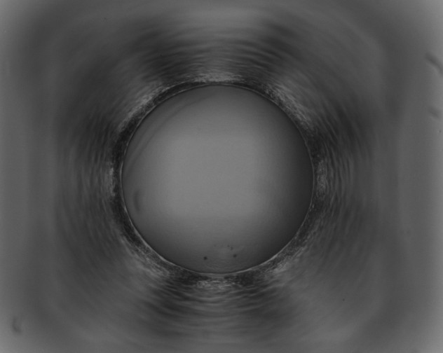 X0000093240351200710171446