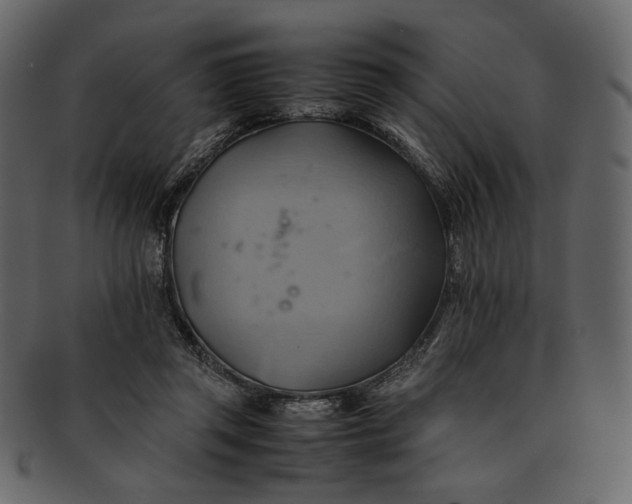 X0000093240357200710171446