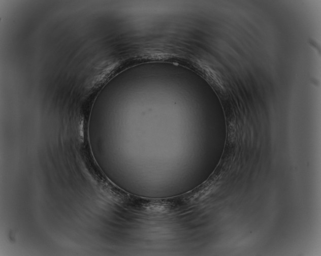 X0000093240358200710171446