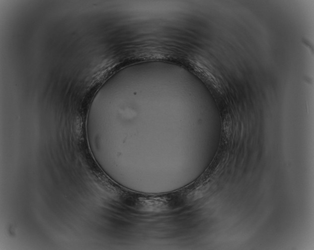 X0000093240359200710171446