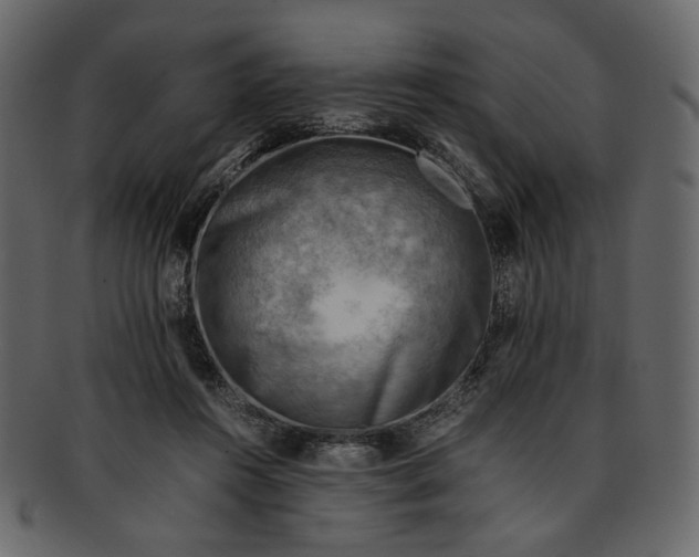 X0000093240360200710171446