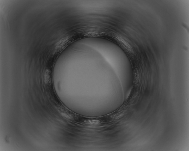 X0000093240361200710171446