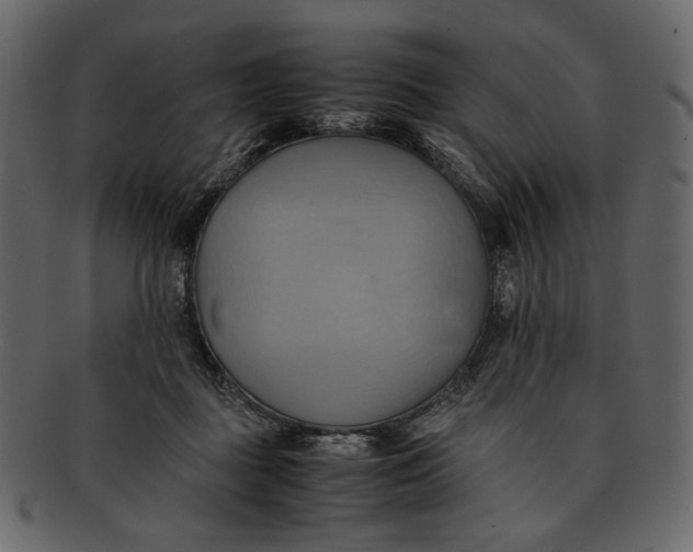 X0000093240363200710171446