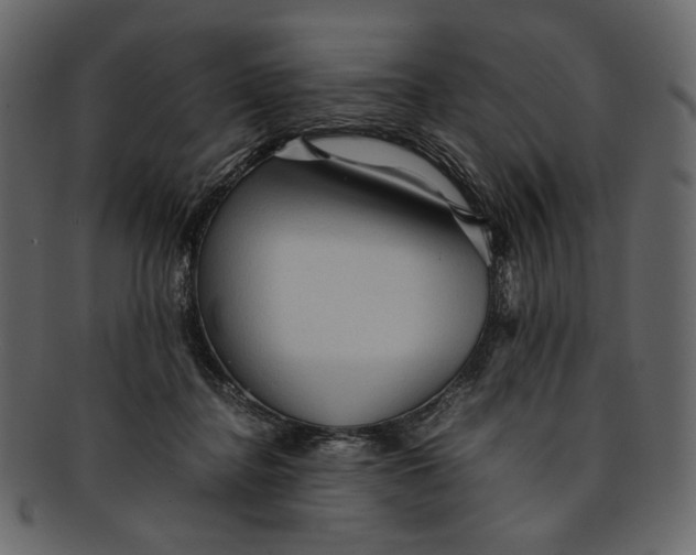 X0000093240364200710171446