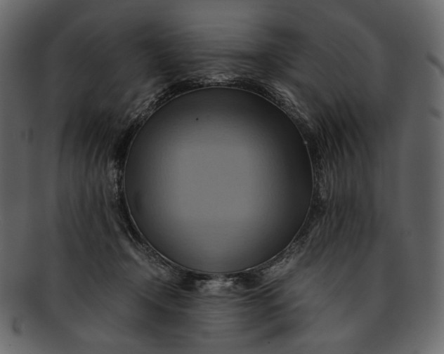 X0000093240366200710171446