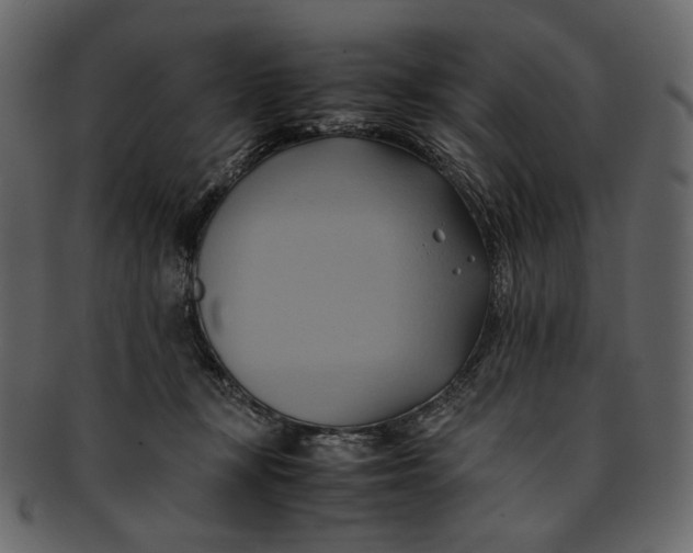 X0000093240367200710171446