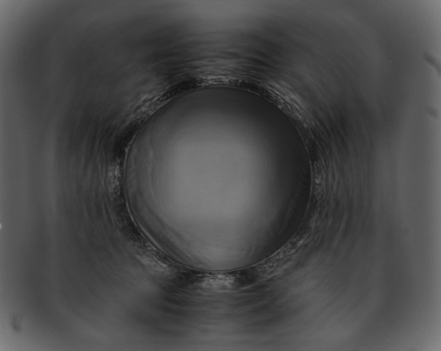 X0000093240369200710171446