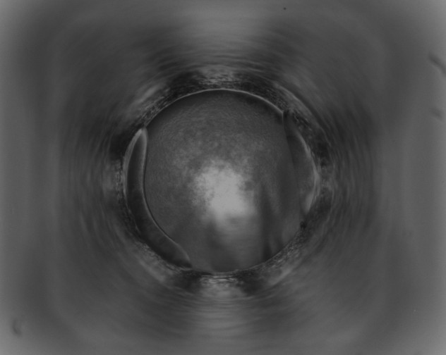 X0000093240372200710171446