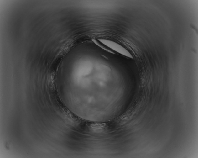 X0000093240373200710171446