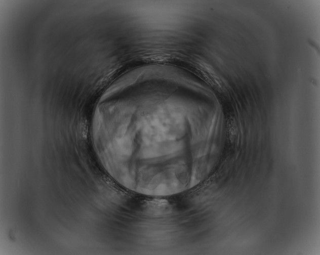 X0000093240374200710171446