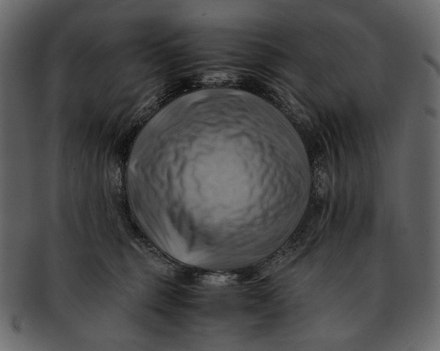 X0000093240375200710171446