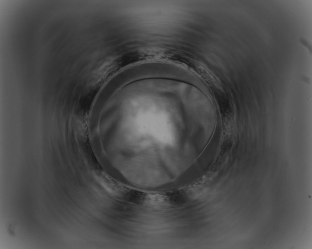 X0000093240376200710171446