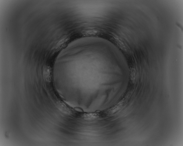 X0000093240378200710171446