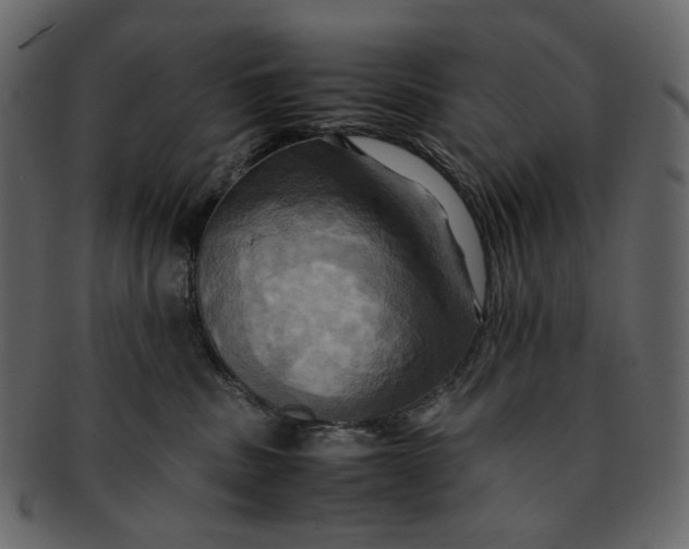 X0000093240379200710171446