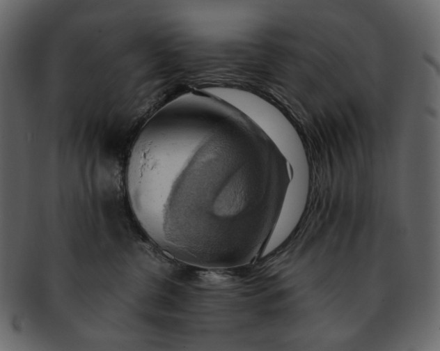 X0000093240380200710171446