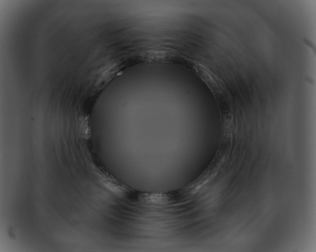 X0000093240383200710171446