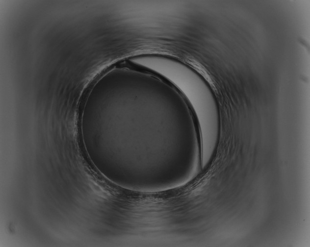 X0000093240387200710171445