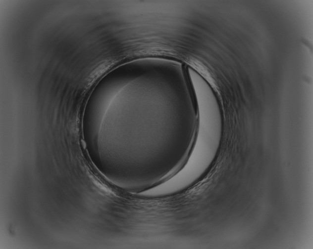 X0000093240389200710171445