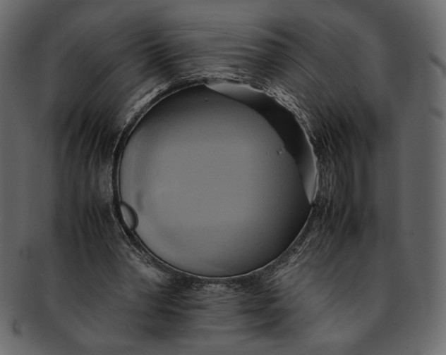 X0000093240390200710171445