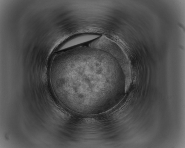 X0000093240392200710171445