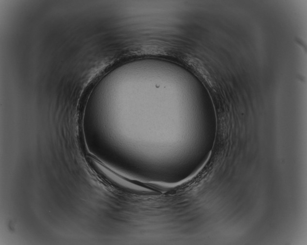 X0000093240395200710171445