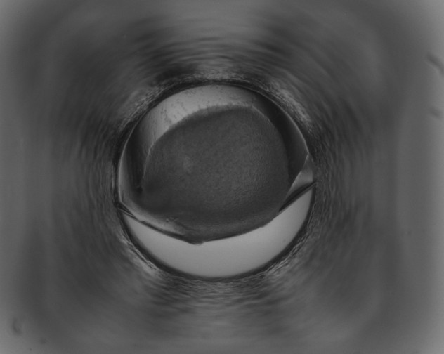 X0000093240397200710171445