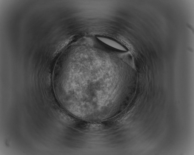 X0000093240401200710171445