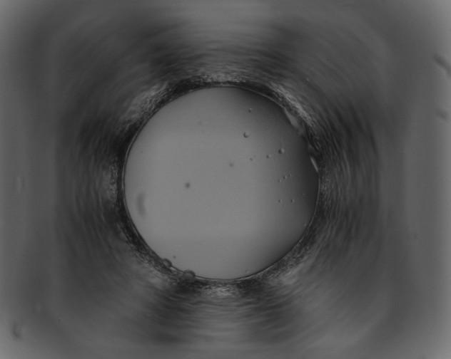 X0000093240402200710171445