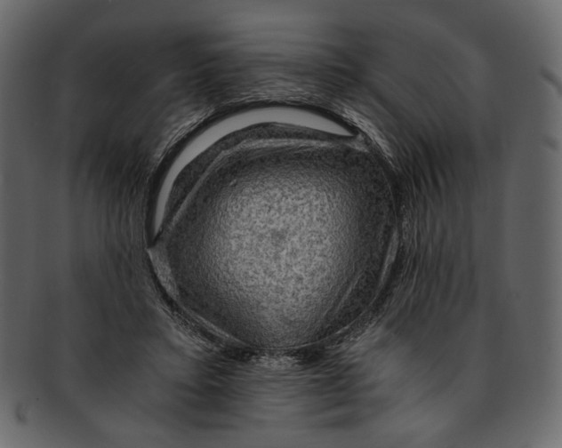 X0000093240403200710171445