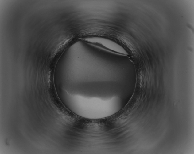 X0000093240404200710171445