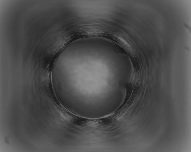 X0000093240405200710171445