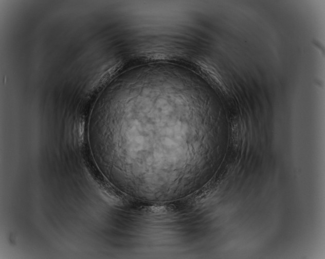 X0000093240406200710171445