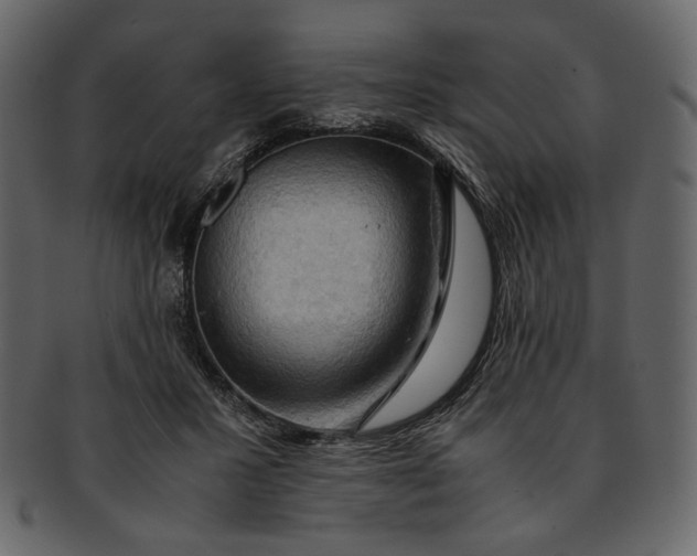 X0000093240407200710171445