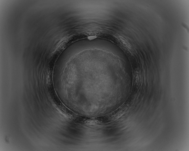 X0000093240408200710171445