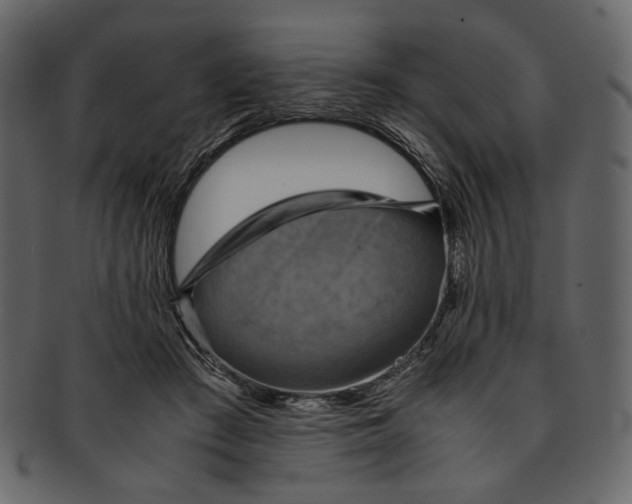 X0000093240409200710171445