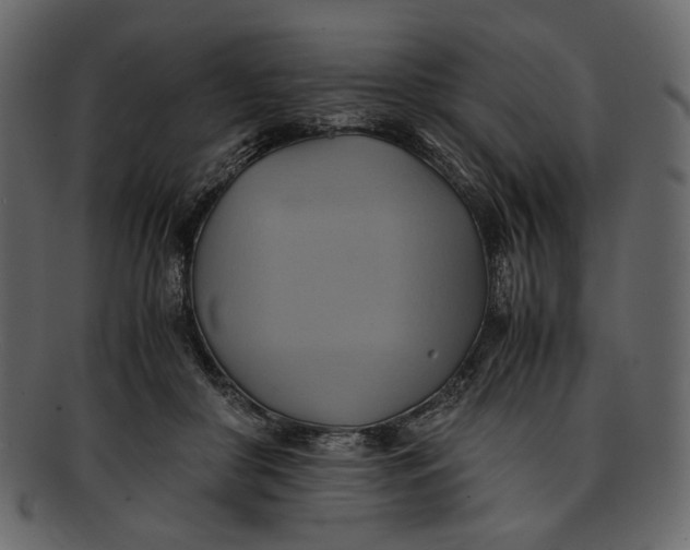 X0000093240410200710171445