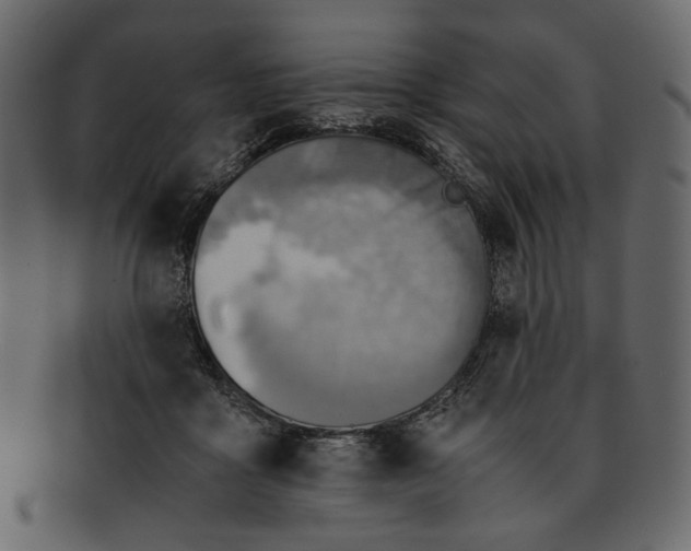 X0000093240411200710171445