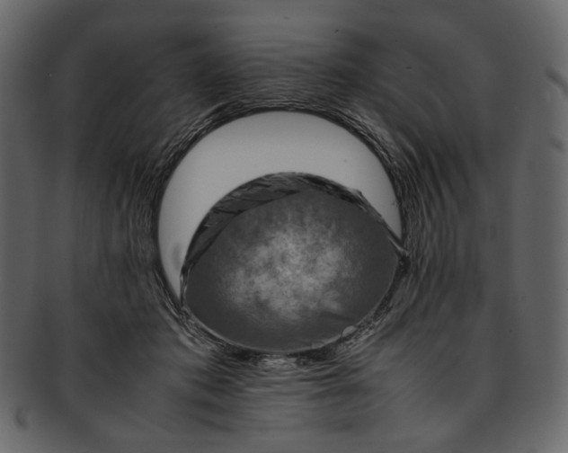 X0000093240413200710171445