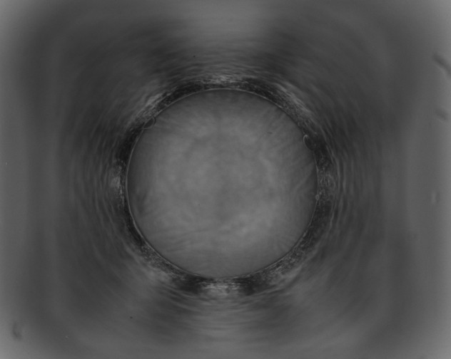 X0000093240415200710171445