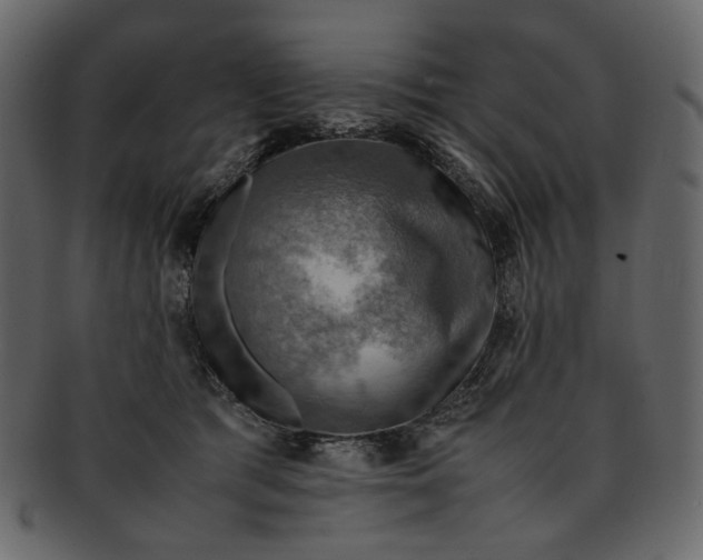 X0000093240417200710171445