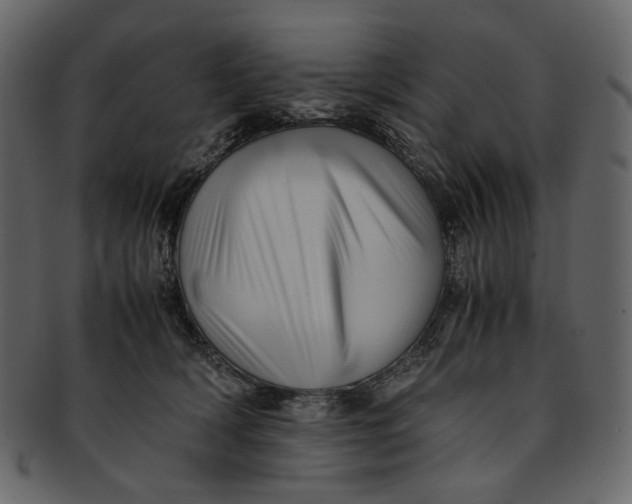 X0000093240418200710171445