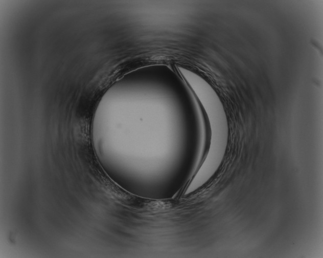 X0000093240421200710171445